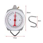 Industrial Hanging Spring Scale, 50 kg Capacity