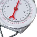 Industrial Hanging Spring Scale, 50 kg Capacity
