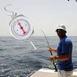 Industrial Hanging Spring Scale, 50 kg Capacity