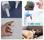 10ml Plastic Syringes with Luer Tip – 10 Pack