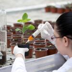 30ML Plastic Syringe Set with Stainless Needle Tips