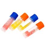 100 Pcs 2ml Plastic Vials with Caps