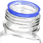 10 Pack 250ml Reusable Glass Media Storage Bottles