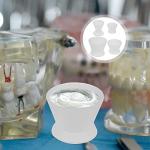Healifty Dental Silicone Mixing Cup for Labs