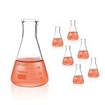 Okulab 6-Piece 100ml Glass Conical Flask Set