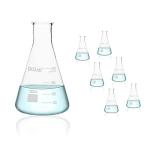 Okulab 6-Piece 100ml Glass Conical Flask Set