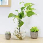 ULAB 250ml Flat Bottom Boiling Flask Set