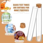 100PCS Clear Glass Test Tubes with Cork Stoppers