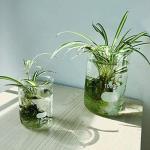 ULAB 500ml Glass Beaker Set, 4 Pack