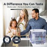 Alkaline Water Purification Unit with pH001 Filter