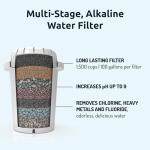 Alkaline Water Purification Unit with pH001 Filter