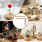 10 Pack 60ml Glass Test Tubes with Corks