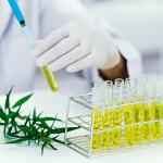 200 Clear Plastic Test Tubes with Caps - 10 ml