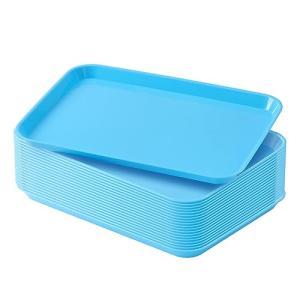 20 Pack Autoclavable Dental Plastic Trays - Blue