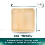 Biodegradable 7" Palm Leaf Square Plates (25 pcs)