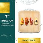 Biodegradable 7" Palm Leaf Square Plates (25 pcs)