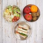 Korean Stainless Steel Camping Plate Set of 4