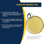 DIY Mold Testing Kit with 5 Tests & Guide