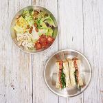 Korean Stainless Steel Camping Plate Set of 4