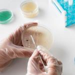 4PCS Stainless Steel Mini Double-Ended Spatulas