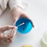 4PCS Stainless Steel Mini Double-Ended Spatulas