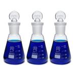 50ml Glass Erlenmeyer Flask Set with Stopper