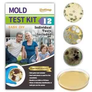 DIY Mold Test Kit with 12 Tests Included