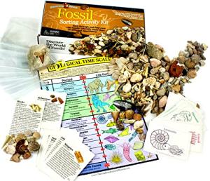 Fossil Collection Activity Kit with 100+ Pieces