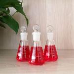 50ml Glass Erlenmeyer Flask Set with Stopper