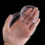 10-Pack Plastic Petri Dishes with Lids