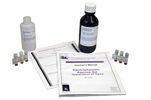 Agarose Gel Electrophoresis Dye Separation Kit