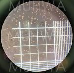 Hemocytometer Blood Counting Chamber with Coverslips