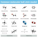 EVOTECH Molecular Model Kit for Chemistry Education