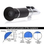 Brix Refractometer with ATC for Home Brewing