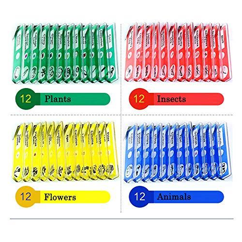 48-Piece Prepared Microscope Slides Set for Students