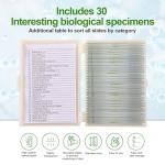 30 Children's Microscope Slides with Specimens