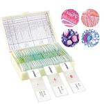 30 Prepared Microscope Slides with Specimens for Kids