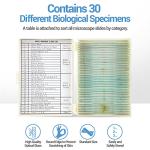 30 Prepared Microscope Slides with Specimens for Kids