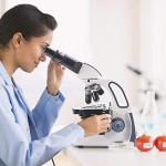 SWIFT SW380B Professional Binocular Microscope 40X-2500X