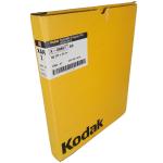 Kodak 35x43cm Autoradiography Imaging Film Pack of 50