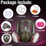 Full Face Respirator Mask with Filters for Safety