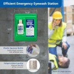 Wall-Mount Eyewash Station with 16 oz Solution