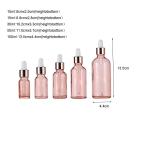 Glass Dropper Bottles Set with Rose Gold Lids