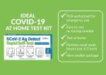 COVID-19 Antigen Rapid Test – 2 Tests, Easy Use