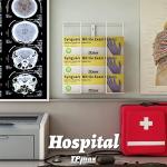 Gloves Box Holder and Tissue Dispenser Rack