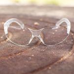 BISON LIFE Clear Safety Glasses - 12 Pack