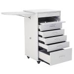 5-Drawer Medical Dental Utility Cart with Shelf