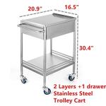 2-Layer Rolling Trolley Cart with Lockable Wheels