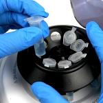 500 Pcs 2ml Polypropylene Microcentrifuge Tubes