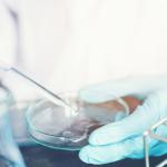 20 Pack of 70mm Plastic Petri Dishes